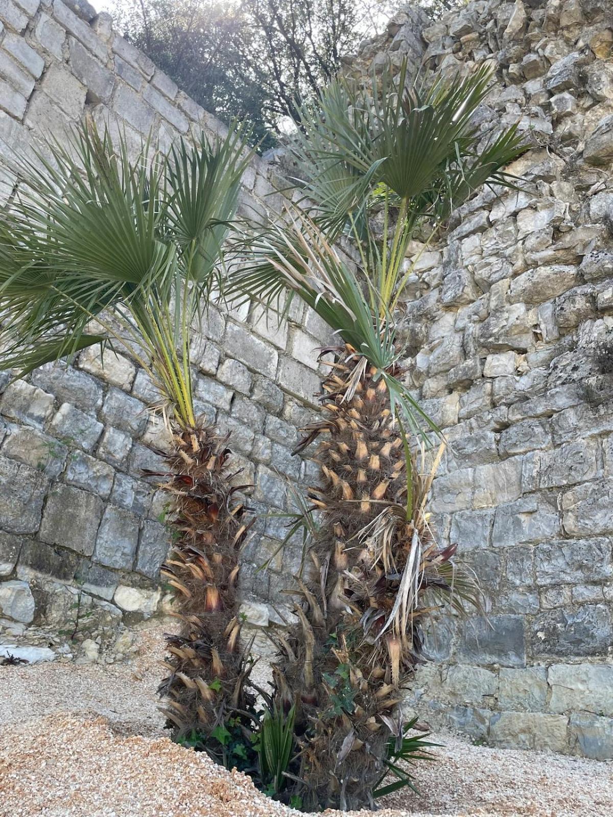 Le Castellas - Gite En Pleine Nature Montmirat Exterior photo